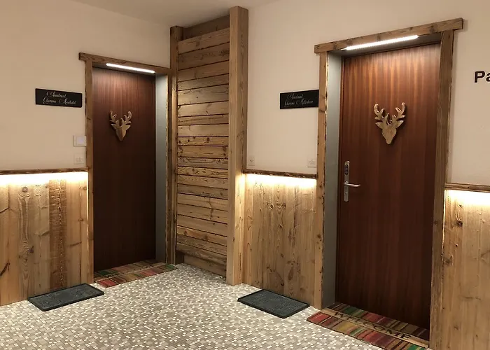 奥林匹亚马特宏公寓 公寓 采尔马特